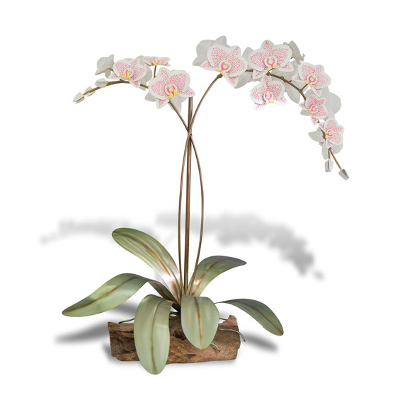 Phalaenopsis Orchid on Gamal Base MM924