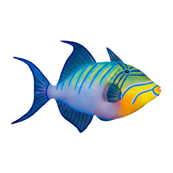 Triggerfish (patio safe) OS146