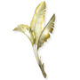 Golden Vertical Banana Leaf Facing Left - MM089