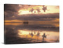 Sailors Delight Canvas Wrap - David Lawrence Photography