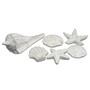 Hand Carved Wooden Assorted Shells C270