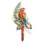 Red Macaw on Branch MM096