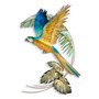 Blue and Gold Macaw MM095