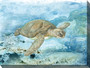 Sea Turtle Life Outdoor Canvas