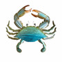 Blue Crab Wall Art