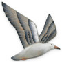 Seagull Flying Wood Wall Art C032