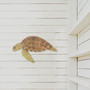 Sea Turtle Head Down Wall Art Beach Junk C548