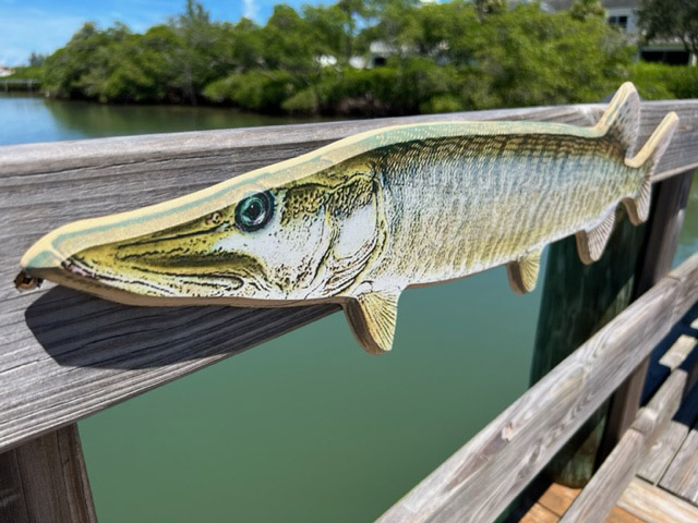  Musky Walleye Fishing Magazine Cover Vintage Lures Hunting  Cabin Decor Wall Art Decoration Metal Plaque Poster Metal Sign 8X12 Inches  : Home & Kitchen