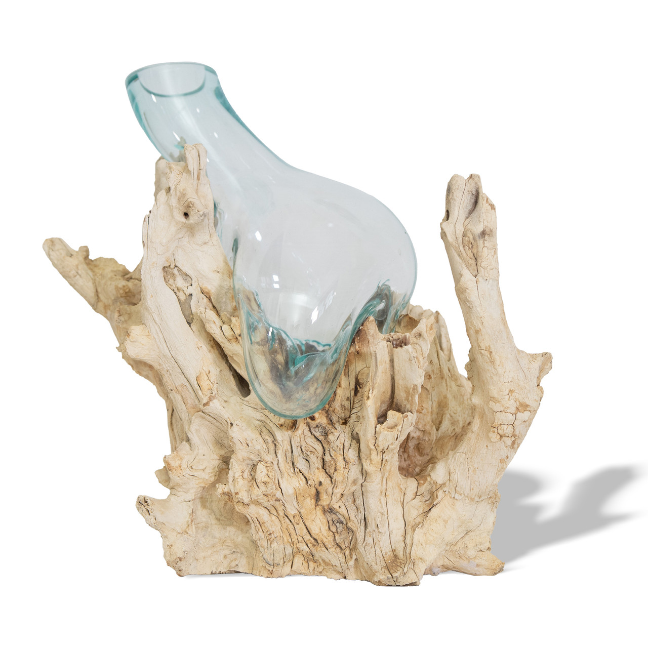 Large Bleach Root with Glass Vase G131B