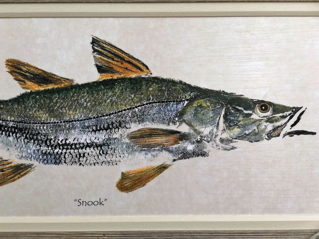 Snook Painting FD45612 43x 23