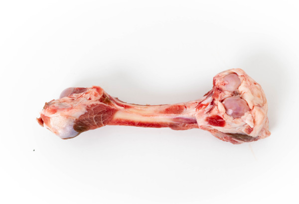 beef femur
