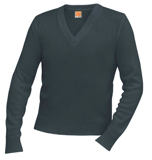  A+ Unisex V-Neck Pullover with Logo