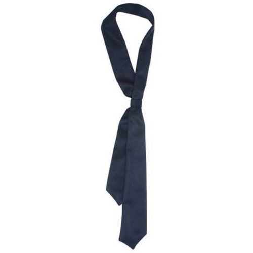 Aquinas Classical Academy Girls Sailors Tie**will be in Schools Plaid