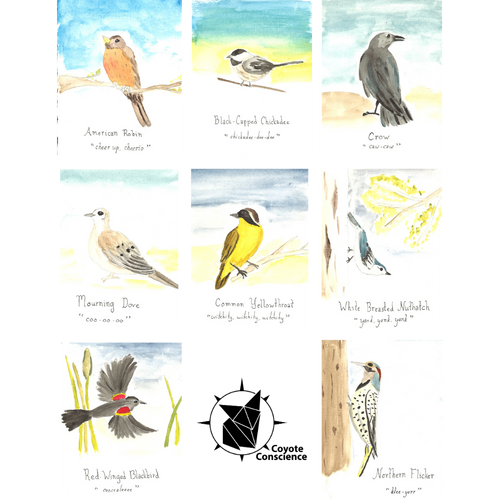 Coyote Conscience