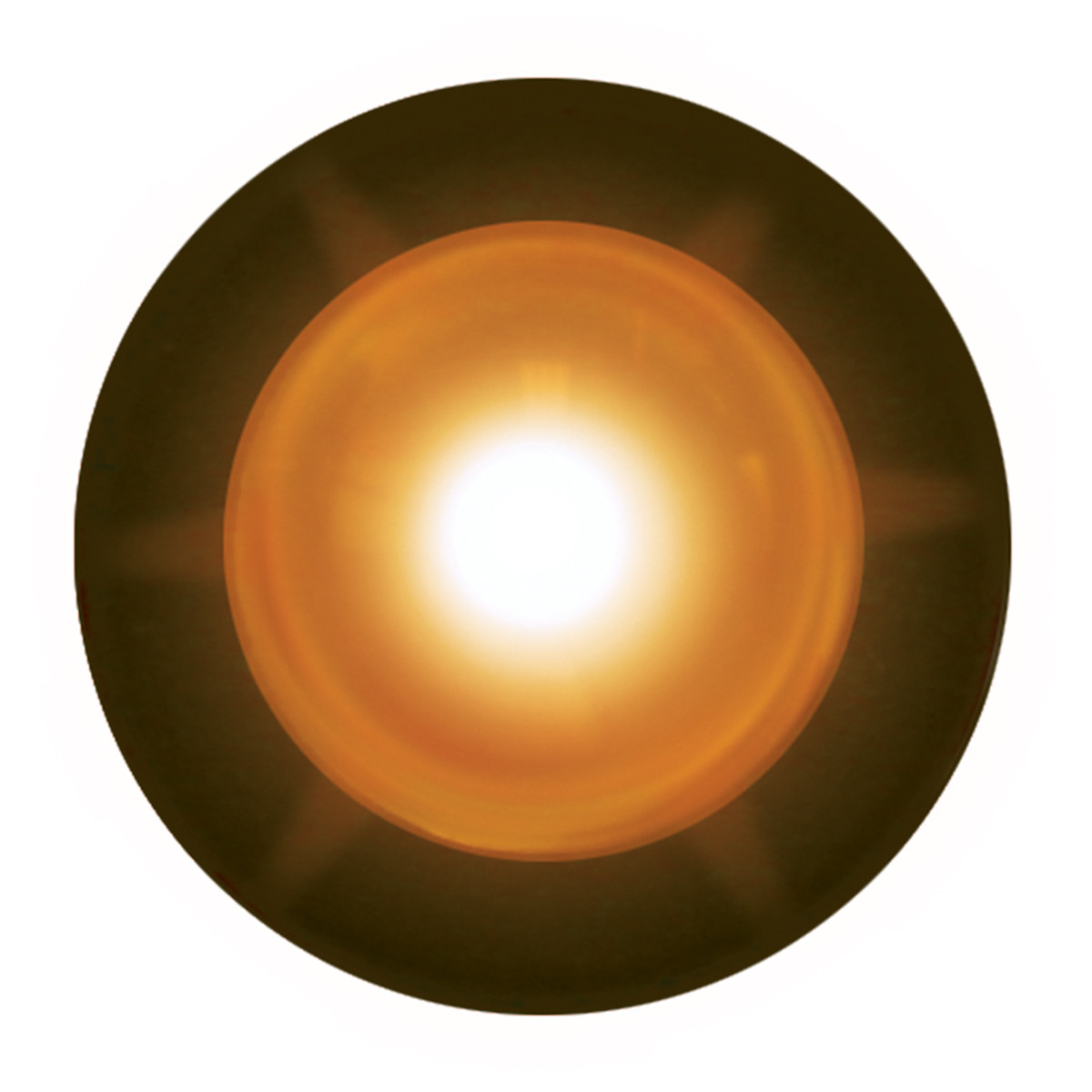 81251 Interior Single LED Snake Light - Grand General Accessories LLC