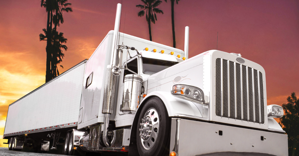 Empowering Drivers Worldwide