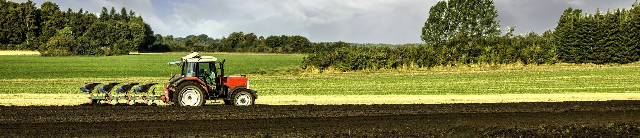 Agriculture & Logging
