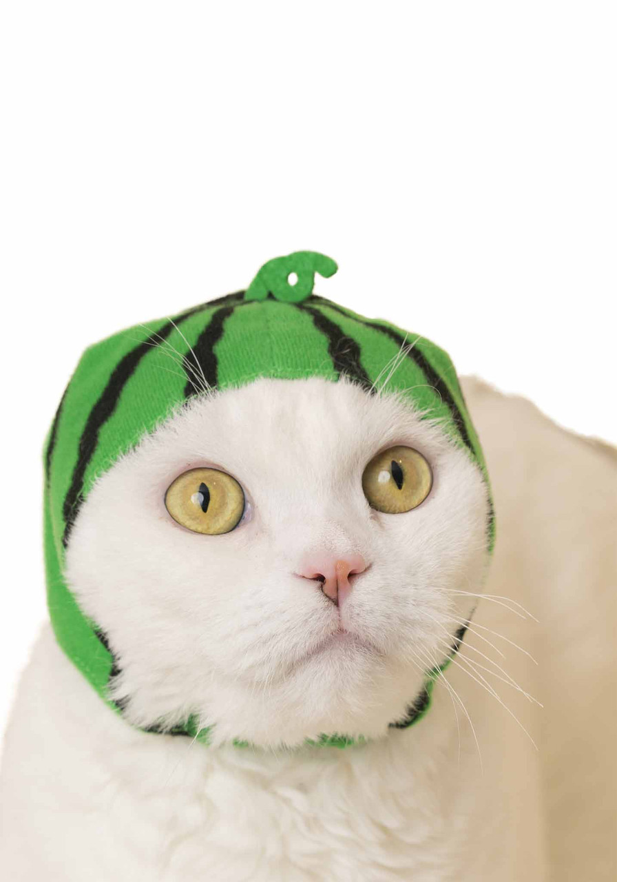 Cat Cap Aquarium Blind Box - Kigurumi Shop