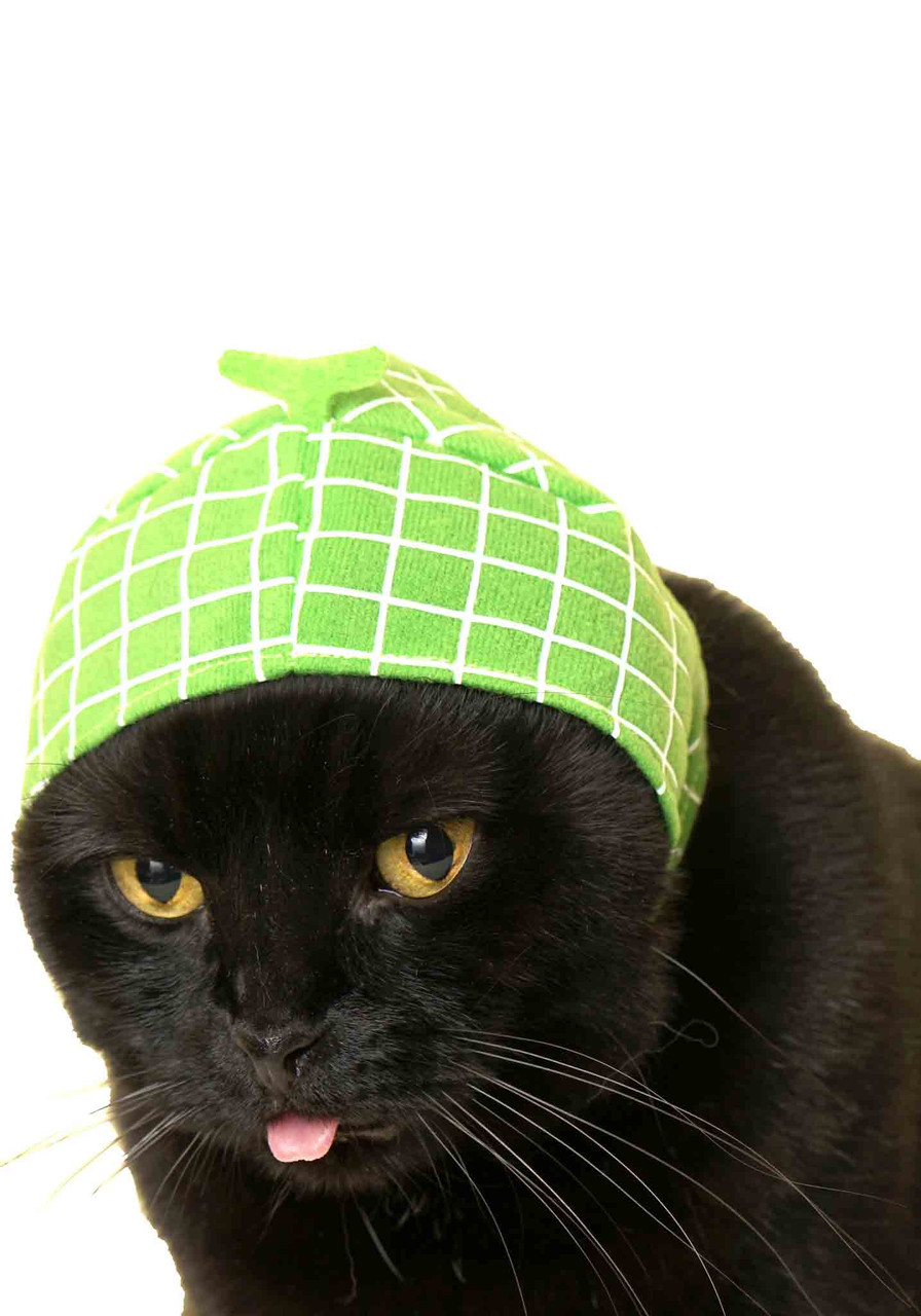 Cat Cap Aquarium Blind Box - Kigurumi Shop