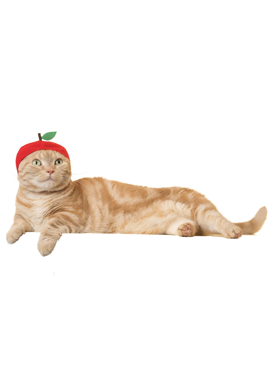Cat Cap Aquarium Blind Box - Kigurumi Shop