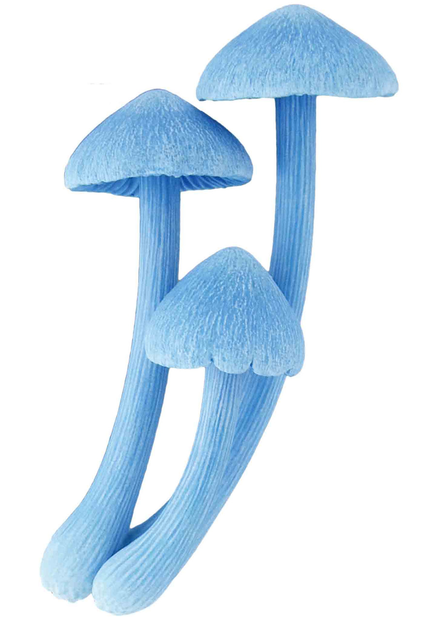 mushroom　0102 ♡ Kigurumi Shop | Mushroom Soft Rubber Charm 