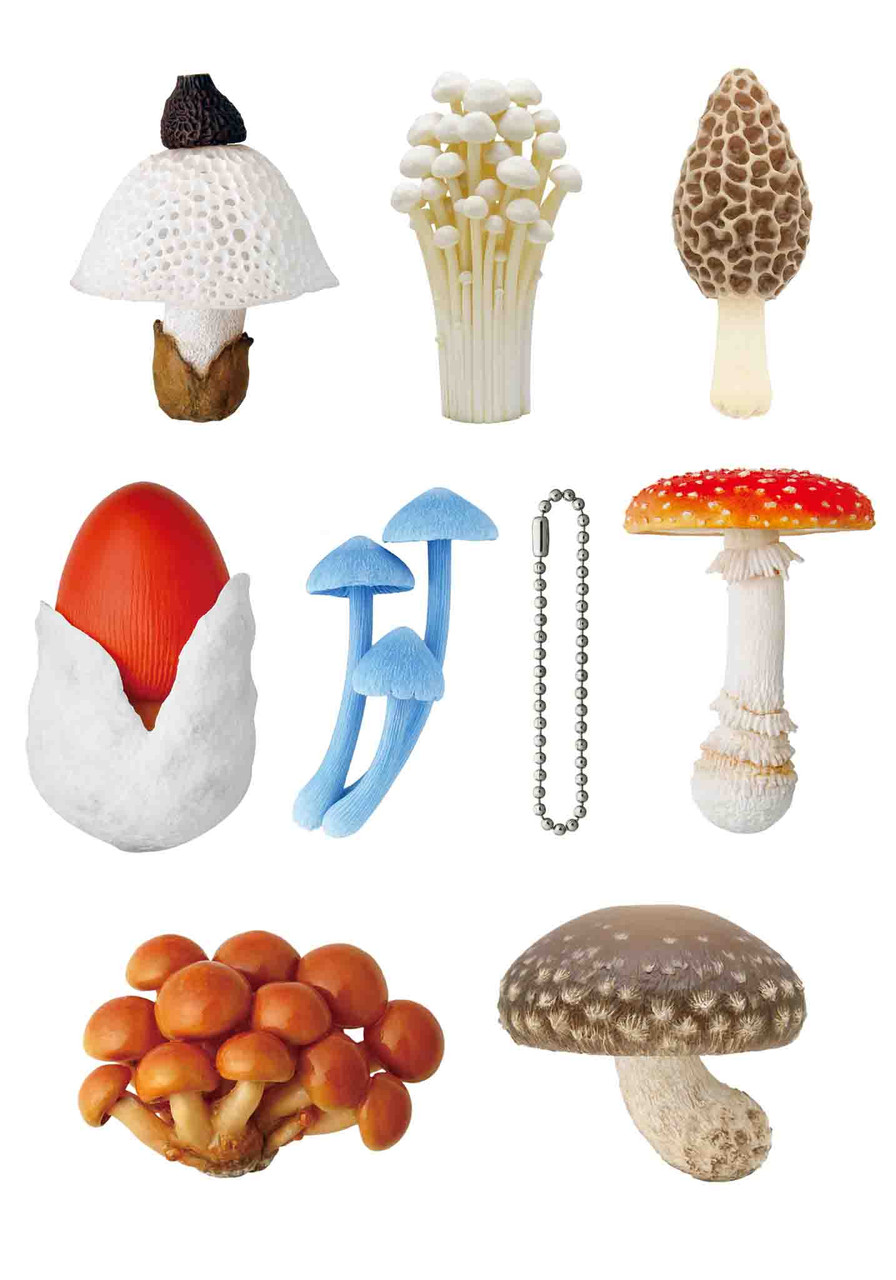 アウトレット福袋 Mushroom | Shop Kigurumi Soft  Charm Rubber テープ・マスキングテープ