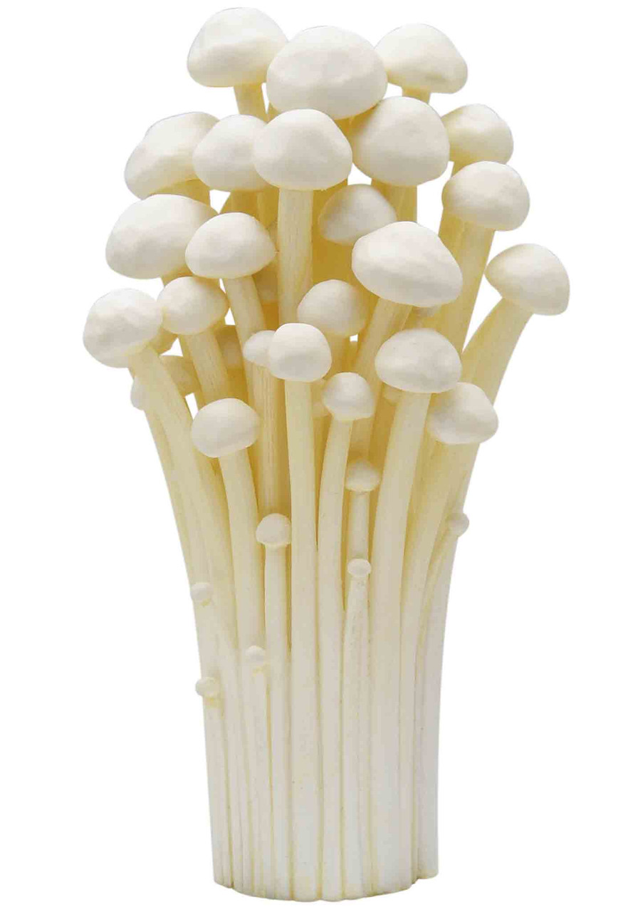Kigurumi Shop | Mushroom Soft Rubber Charm 