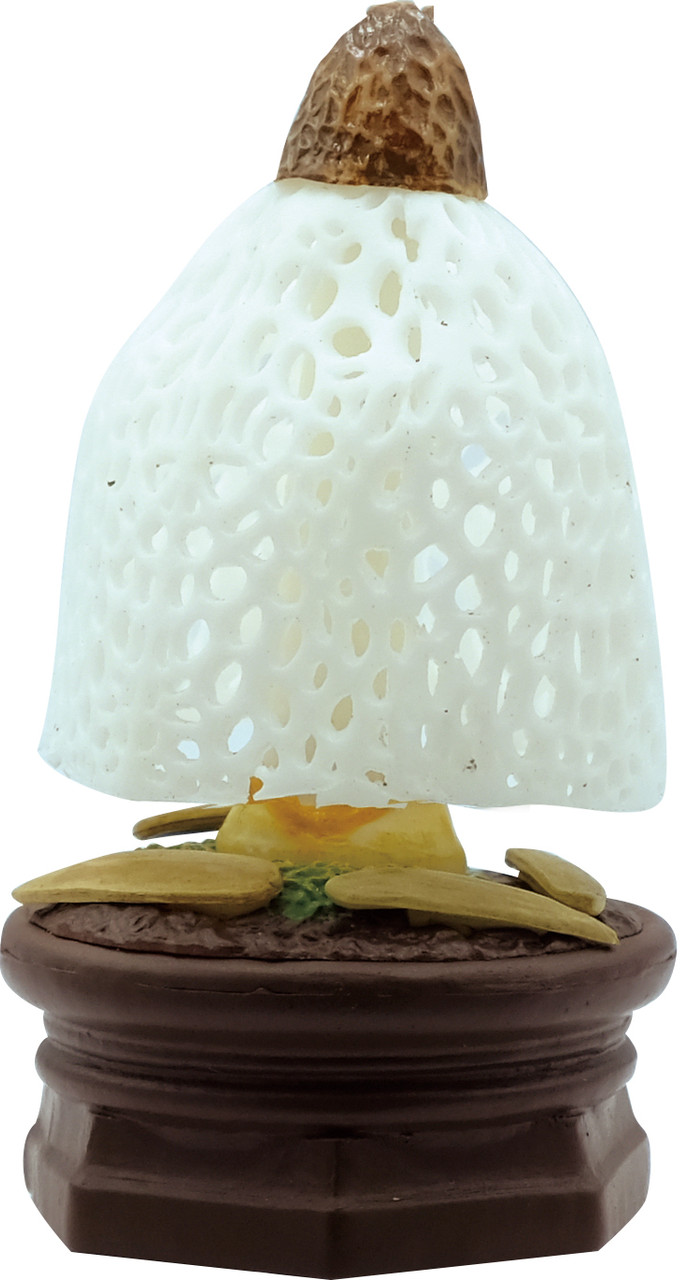 Kigurumi Shop | Mushroom Garden Blind Box Version 1