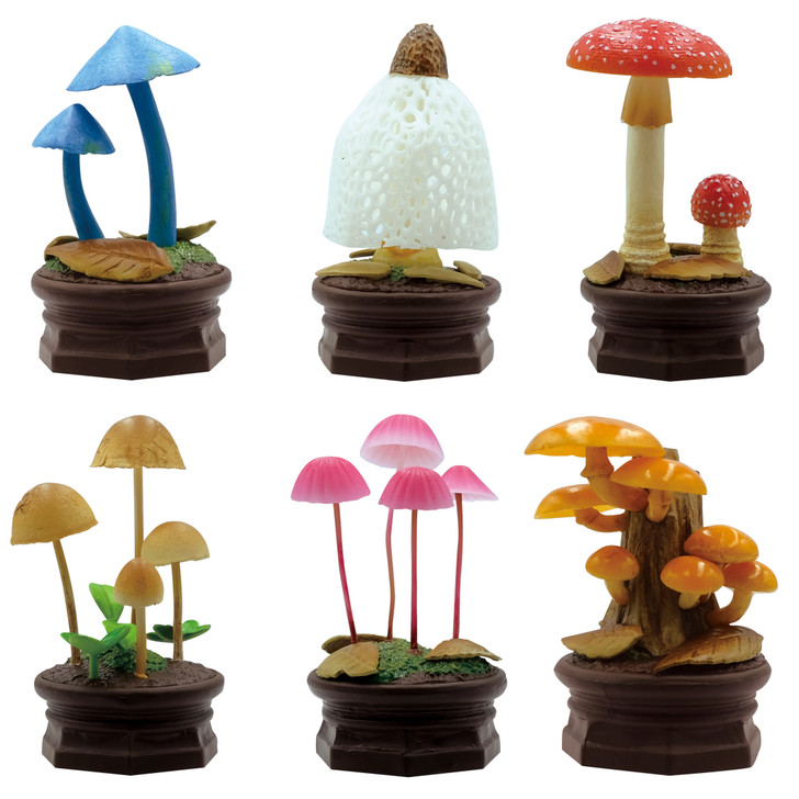 6体セット Copiapoa Mudball Blind box Copiapoa Mudball Blind Box Series by Robin Huang
