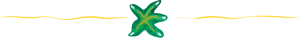 Sea star decorative divider
