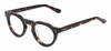 Profile View of Reptile Malayemys Designer Progressive Lens Blue Light Blocking Eyeglasses in Dark Brown Amber Tortoise Havana Ladies Panthos Full Rim Acetate 44 mm