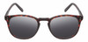 Front View of Reptile Larachelus Designer Polarized Sunglasses with Custom Cut Smoke Grey Lenses in Matte Auburn Brown Tortoise Havana Unisex Panthos Full Rim Acetate 50 mm