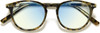 Top View of Prive Revaux Maestro Round Reading Glasses in Champagne Tortoise Havana Gold 48mm
