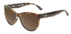 Profile View of OTIS Aerial Designer Polarized Sunglasses with Custom Cut Amber Brown Lenses in Matte Honey Tortoise Havana Ladies Cat Eye Full Rim Acetate 56 mm