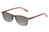 Profile View of Perry Ellis PEBX57 Designer Polarized Reading Sunglasses with Custom Cut Powered Smoke Grey Lenses in Gloss Tortoise Havana Marble Unisex Panthos Full Rim Acetate 50 mm