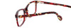 Calabria Splash SP63 Designer Eyeglasses in Tortoise-Red :: Custom Left & Right Lens