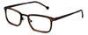 Calabria Elite Designer Eyeglasses CE100 in Brown Tortoise :: Custom Left & Right Lens