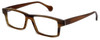 Calabria Elite Designer Eyeglasses CEBH119 in Tan Horn :: Custom Left & Right Lens