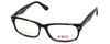 BMEC Big Twist Designer Eyeglasses in Tortoise :: Custom Left & Right Lens