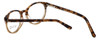 Calabria Viv Designer Eyeglasses 822 in Demi-Brown :: Custom Left & Right Lens