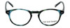 Silver Dollar Designer Eyeglasses CLD-9143 in Aqua Tortoise 48mm :: Custom Left & Right Lens