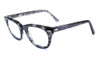 Shuron Designer Eyeglasses Freeway in Smoke :: Rx Single Vision