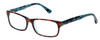 Calabria 857 Designer Eyeglasses in Tortoise :: Rx Single Vision