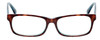 Calabria 857 Designer Eyeglasses in Tortoise :: Rx Single Vision
