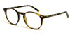 Calabria Viv Designer Eyeglasses 14500 in Tokyo Tortoise :: Rx Single Vision