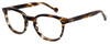 Calabria Elite Designer Eyeglasses CE115 in Tortoise :: Rx Single Vision