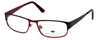 Argyleculture Designer Eyeglasses Morton in Black :: Rx Single Vision