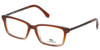 Lacoste Designer Eyeglasses L2720-210 in Brown-Rose 52mm :: Rx Single Vision