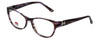 Silver Dollar Designer Eyeglasses Café 3201 in Brown Lilac 53mm :: Rx Single Vision