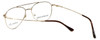 Silver Dollar Designer Eyeglasses Gunnison in Gold 54mm :: Rx Single Vision